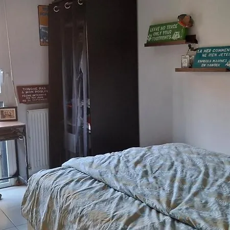 Apartment Cosy Avec Terrasse Et Jardin Hyeres